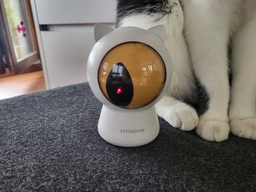 Pettadore laser voor katten