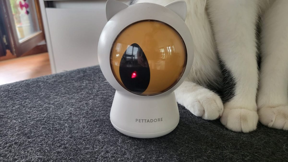 Pettadore Laser