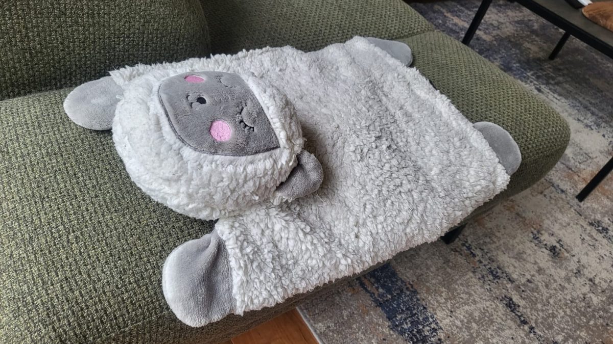 Kattenkussen schaap