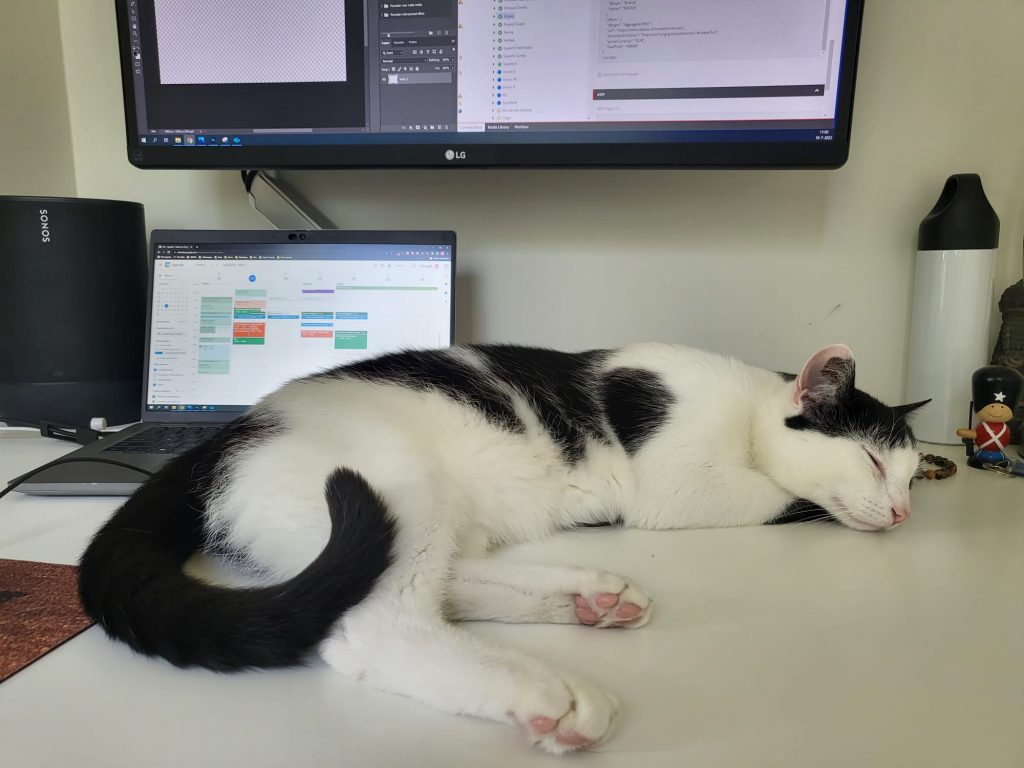 Kat op bureau