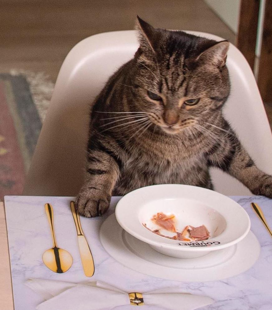 Freek aan tafel