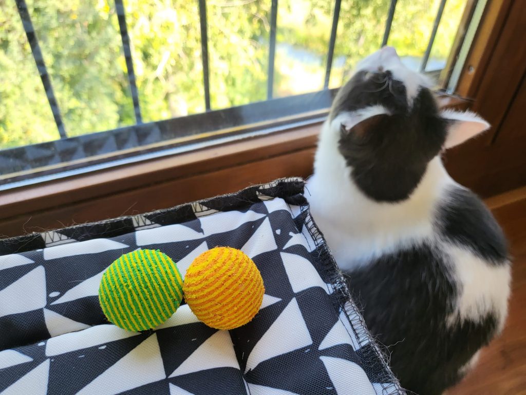 Speelballetjes voor katten