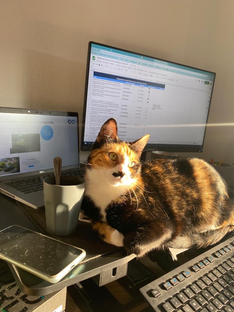 Poes op toetsenbord