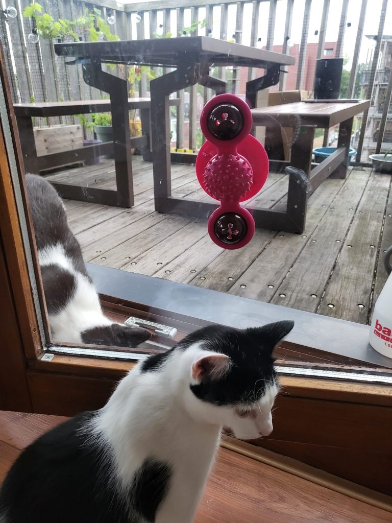 Twirly kattenspeelgoed