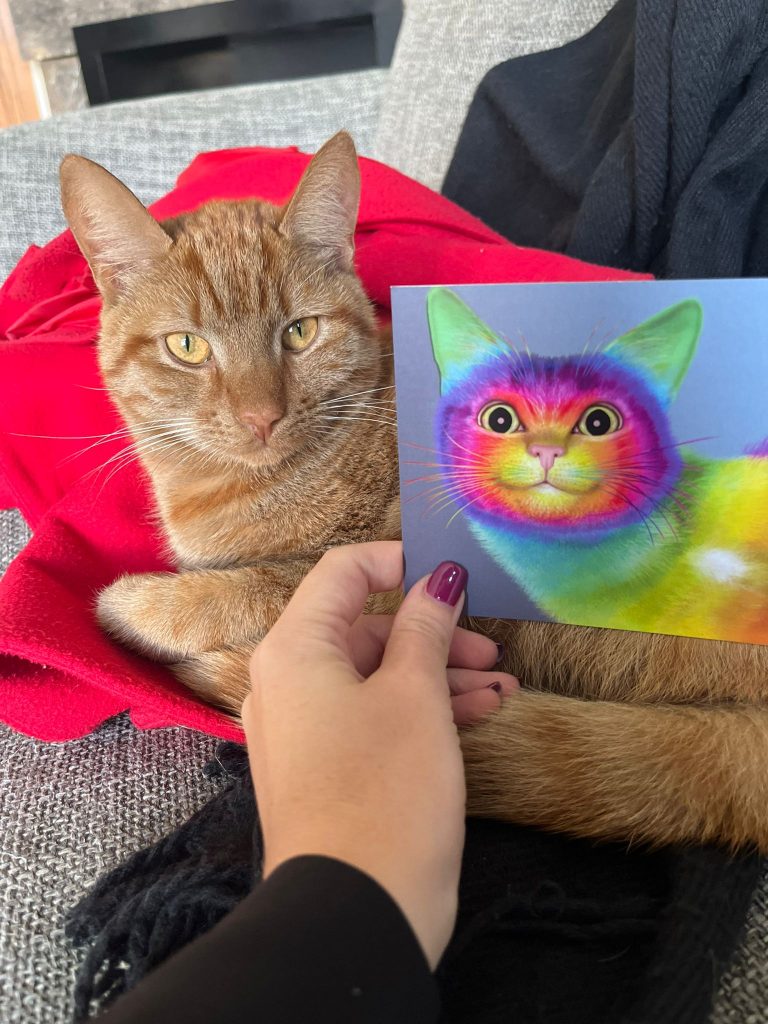 kat en kattenkaart
