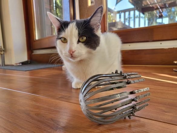 Kat vangt een dakgootbeschermer