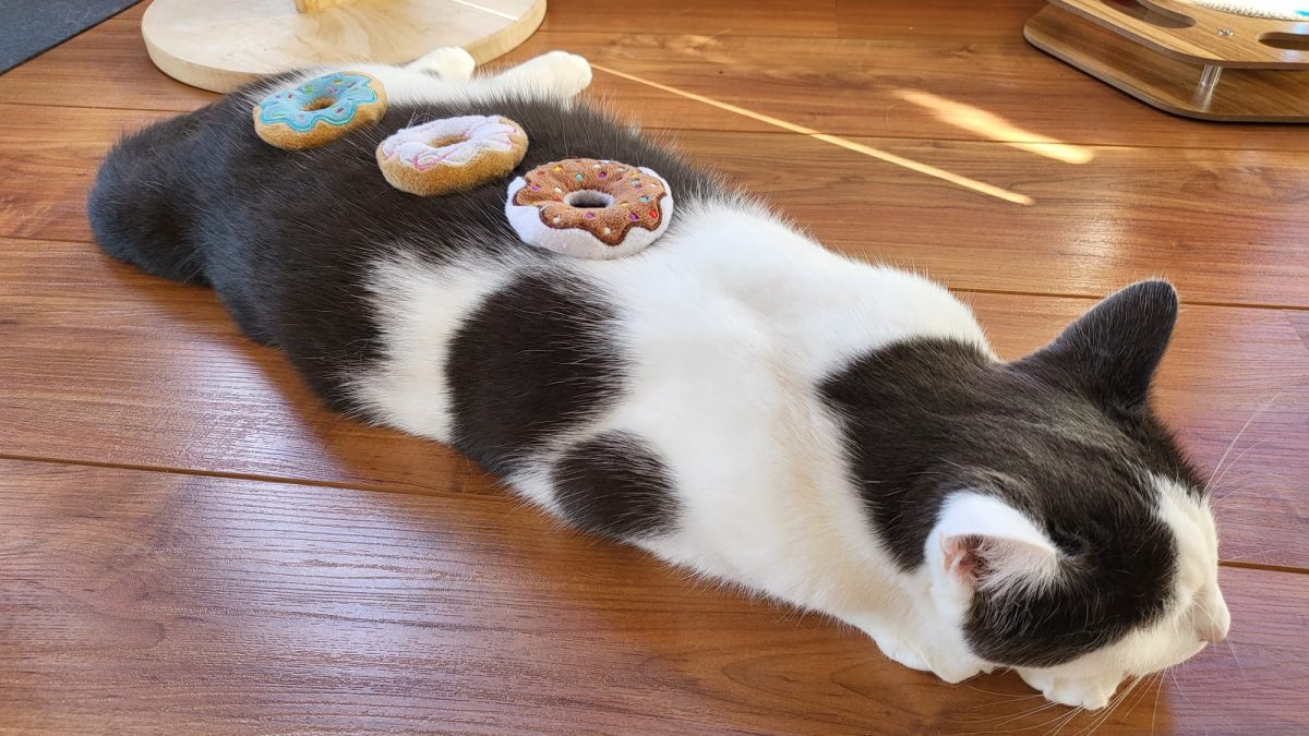 Donuts met Catnip (GIVE-AWAY)