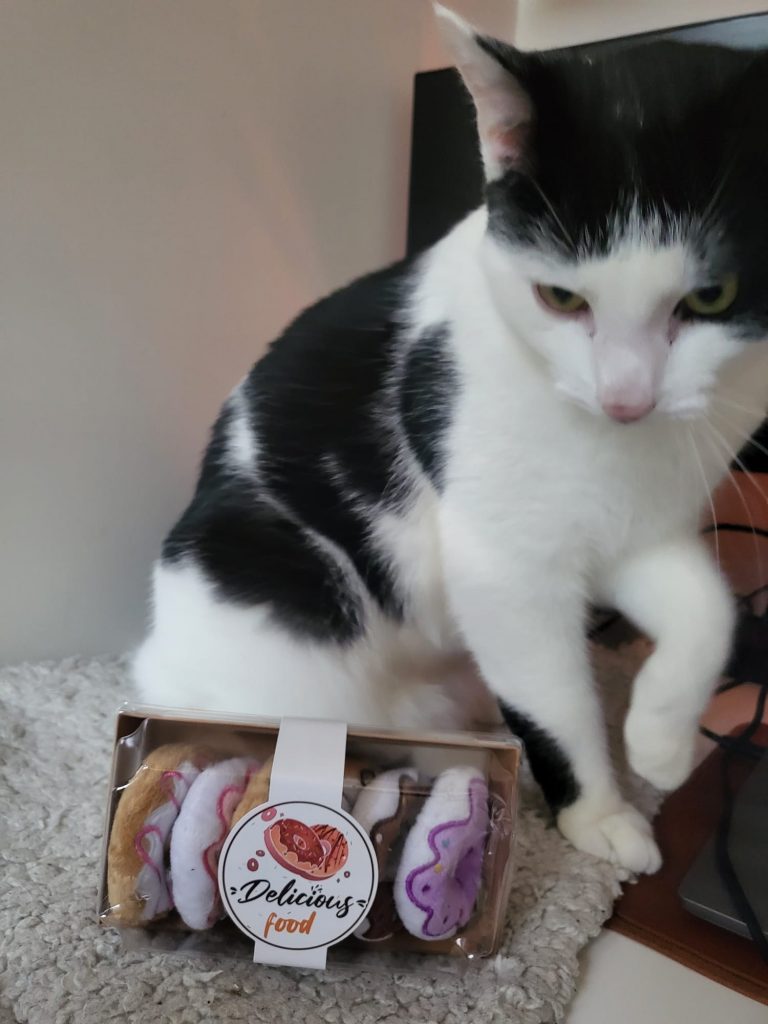 Kat met donuts