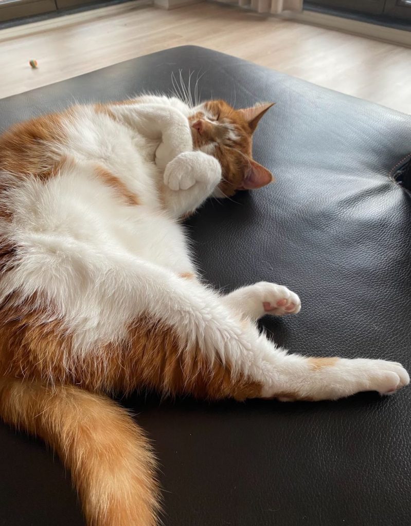 poes op bank